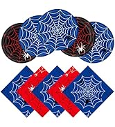 DTDO 40Pcs Halloween Spider Web Plates and Napkins Birthday Party Serves 24