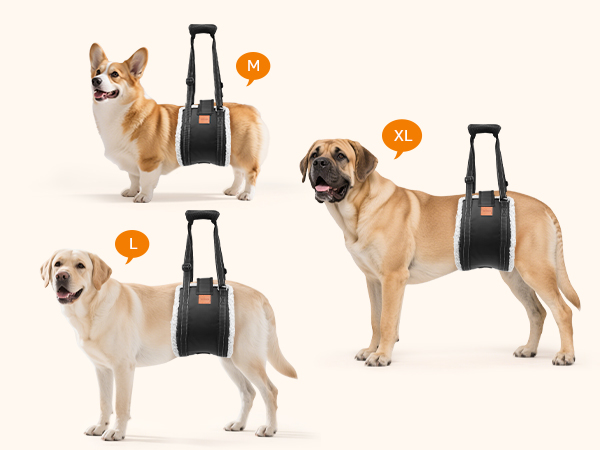 sling for dogs back legs