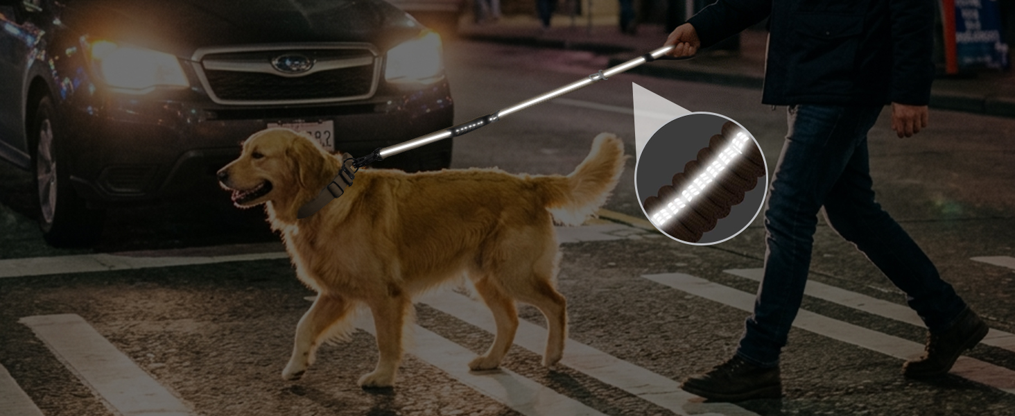 360 degree reflective stitching dog lead for night walking safety under car headlights