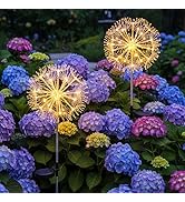 PilavAloo Solar Garden Lights Outdoor Waterproof Decorative, 2-Pack 19LED Warm White Fairy Light ...
