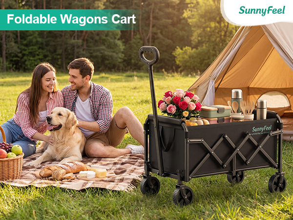 Utility Wagon Cart