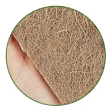 Sponges