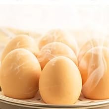 electric hard boiled egg cooker