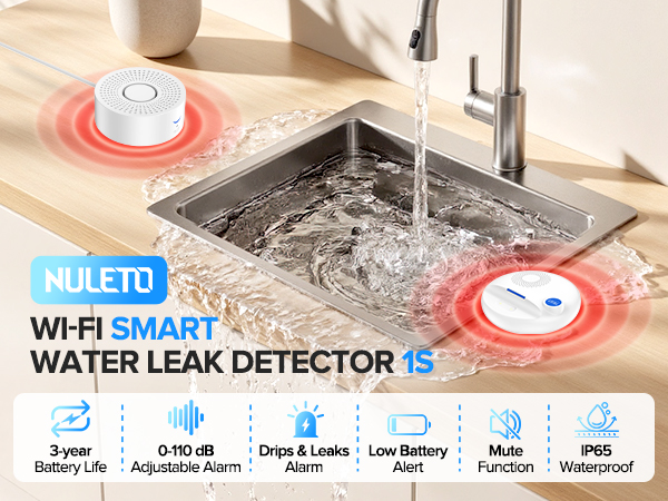 water leak detectors for home