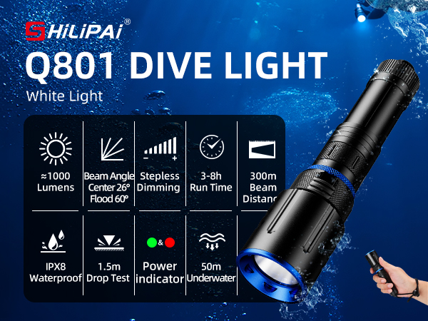 dIVE LIGHT