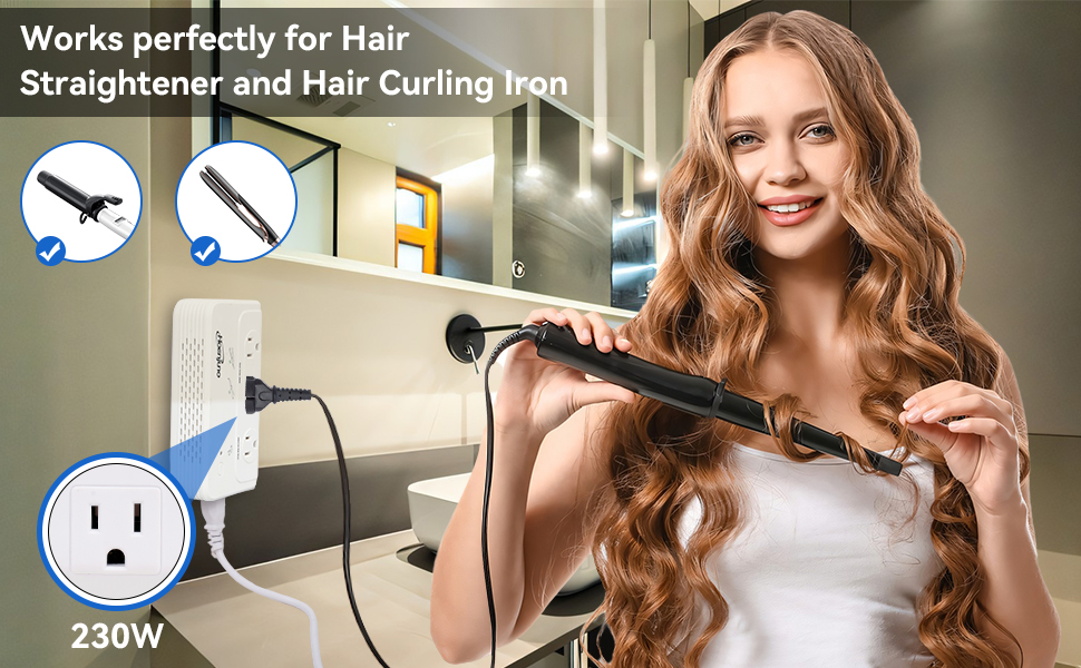 voltage converter 220 to 110