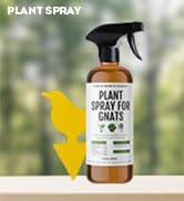 Plant Spray Bottle for Insects with 12 Fruit Fly Traps and Peppermint Oil (16oz) - Kate's Home &amp; ...