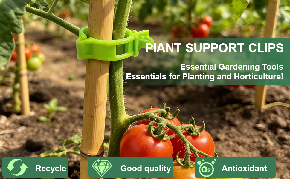 Text reads 'PLANT SUPPORT CLIPS' and 'Essential Gardening Tools Essentials for Planting and Horticulture.' Green plant clips supporting tomato plant stem with red tomatoes. Icons indicate: Recycle, Good quality, Antioxidant.