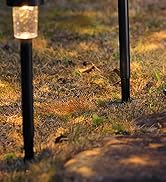 Solar Pathway Lights