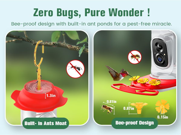 smart hummingbird feeder with camera