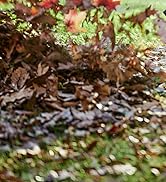 20V CORDLESS LEAF BLOWER BATTERY POWERED