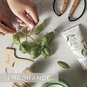 Fragrance