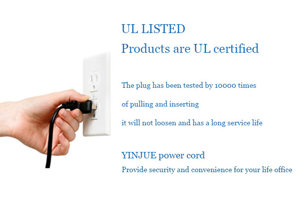 AC 2 hole power cord