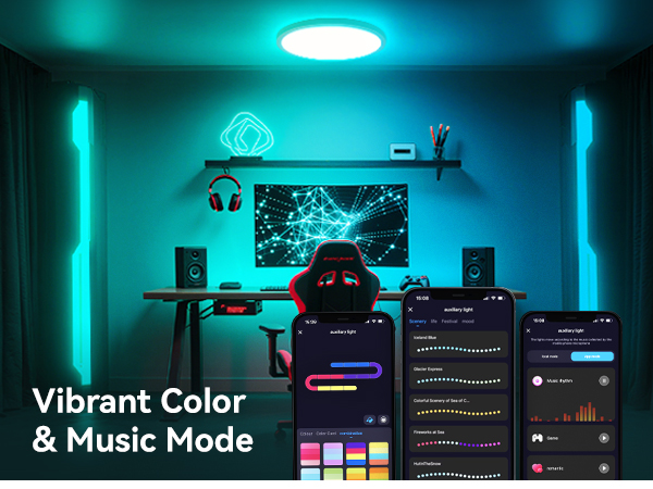 flush mount ceiling light