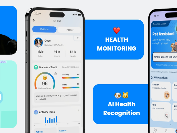 HEALTH MONITORING &amp; Al Health Recognition