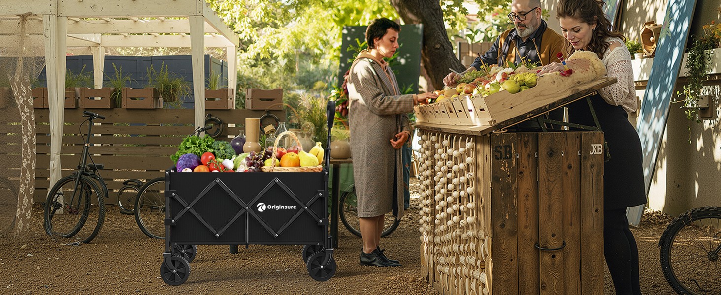 takes me grocery shopping and carry my groceries easier