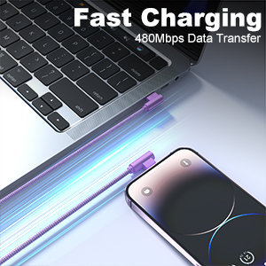 lightning cable 10ft