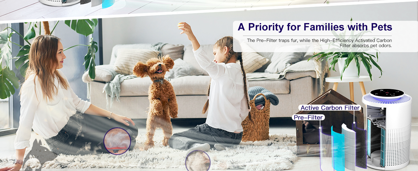 hepa air purifiers for home