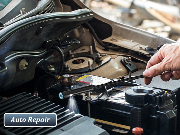 Inspecting a Car Engine with an Endoscope