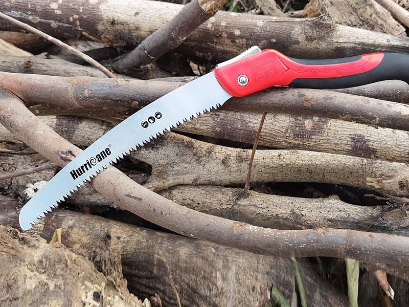 10 Inch Folding Pruning Saw-01 ??