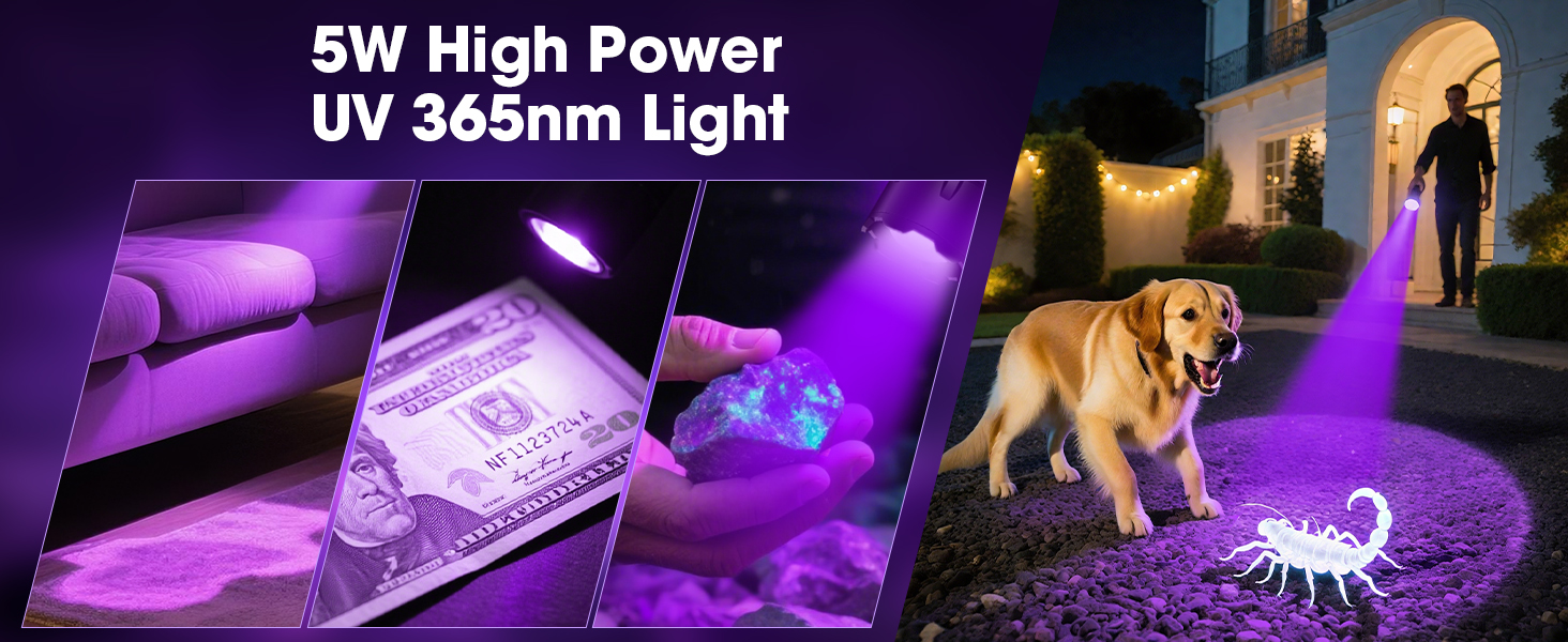 uv light flashlight