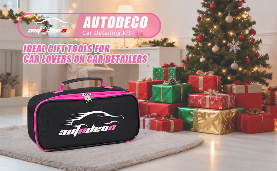 car detailing kit interior