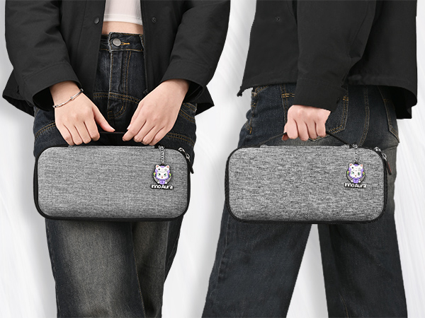 switch 2 case gray