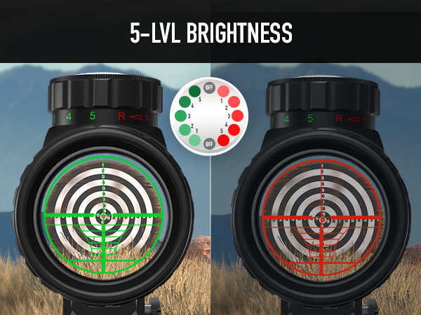 PINTY SCOPE