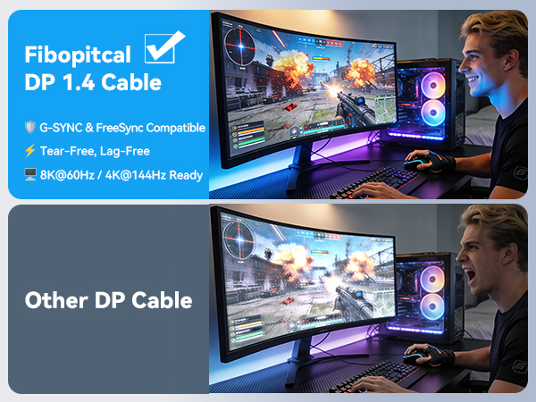 DisplayPort to DisplayPort Cable