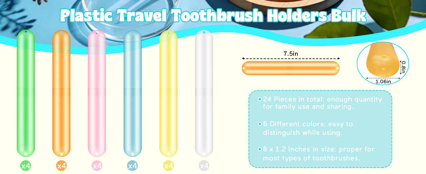 travel toothbrush holder