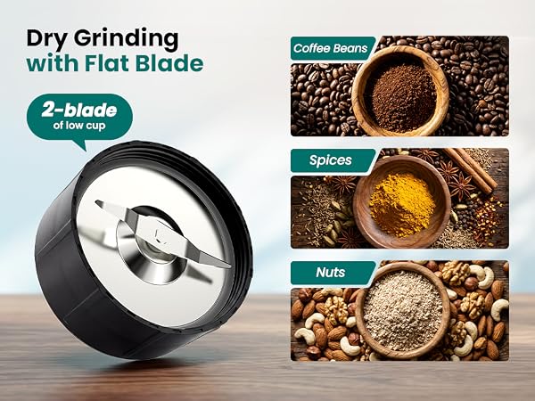 smoothie blender for shake and smoothies