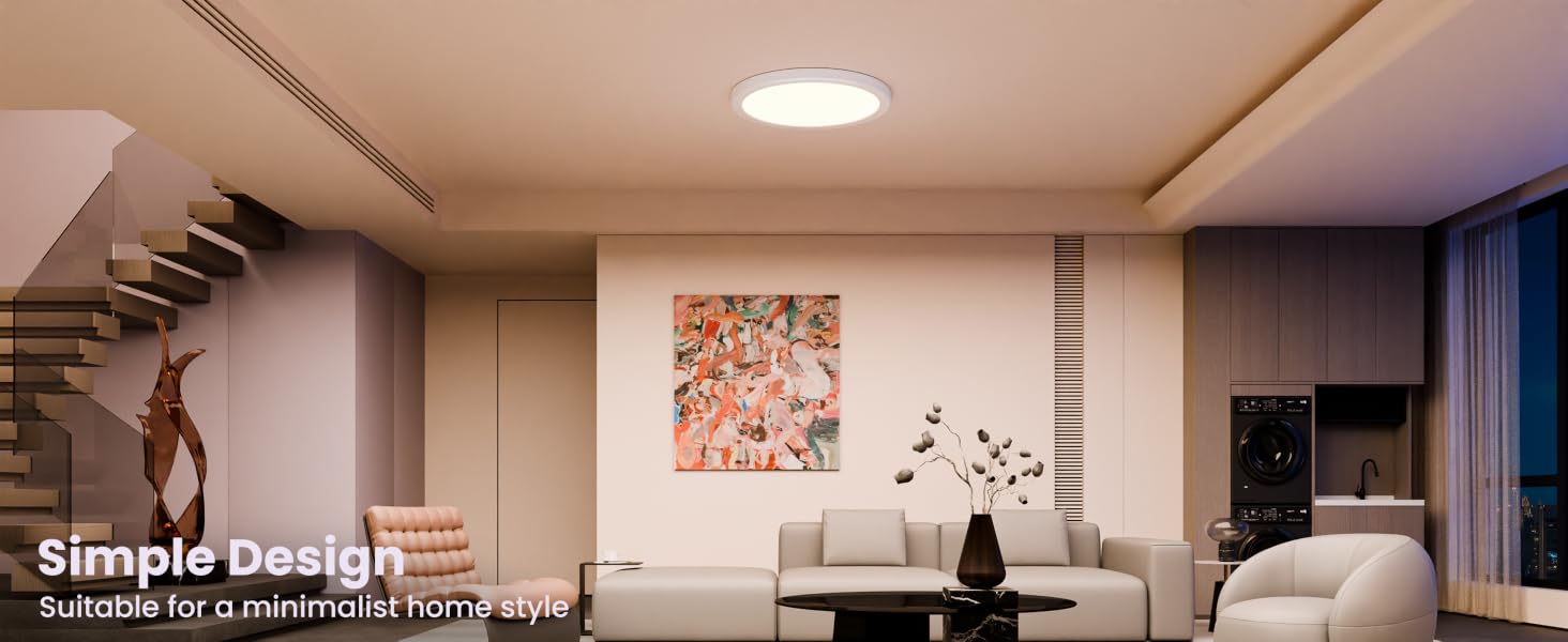 Smart Ceiling Light