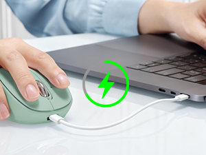 wireless Bluetooth mouse