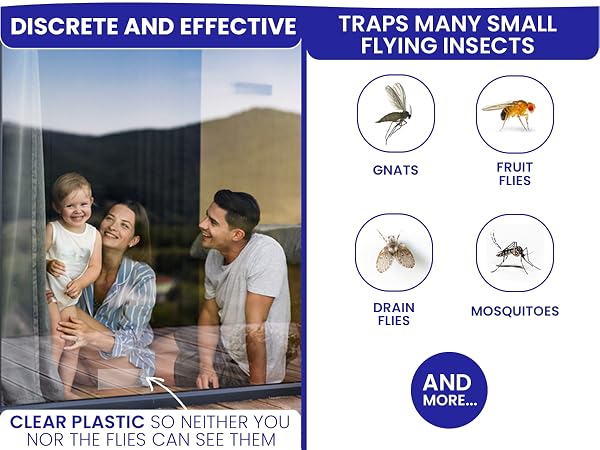 Discrete and effective fly catcher for inside home. Best indoor fly trap for small flying insects