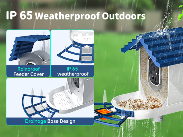bird feeder with camera weatherproof
