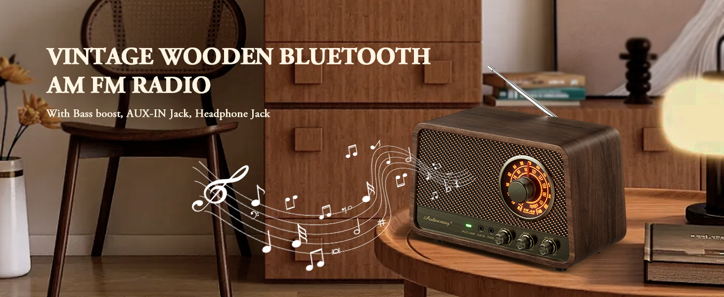 am fm radio / bluetooth radio