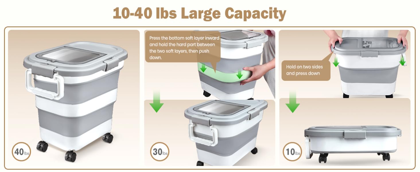 rice container