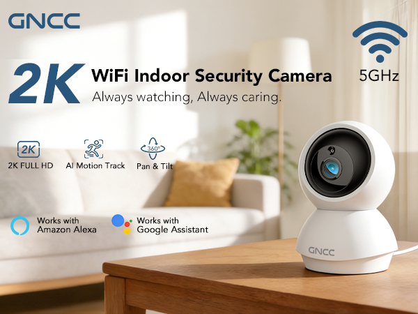 indoor camera