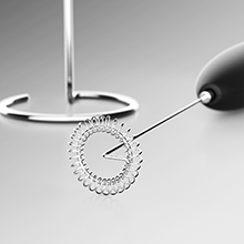 Milk Frother