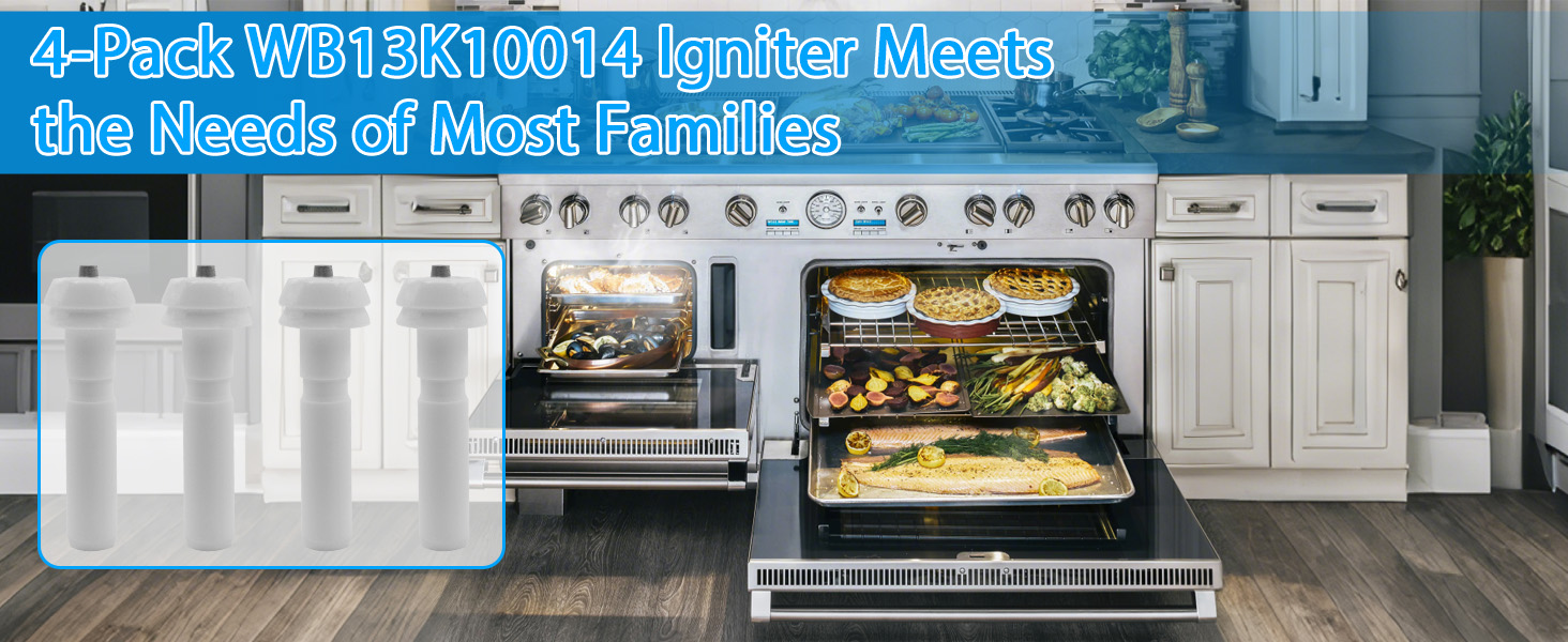 WB13K10014 Electrode Kit