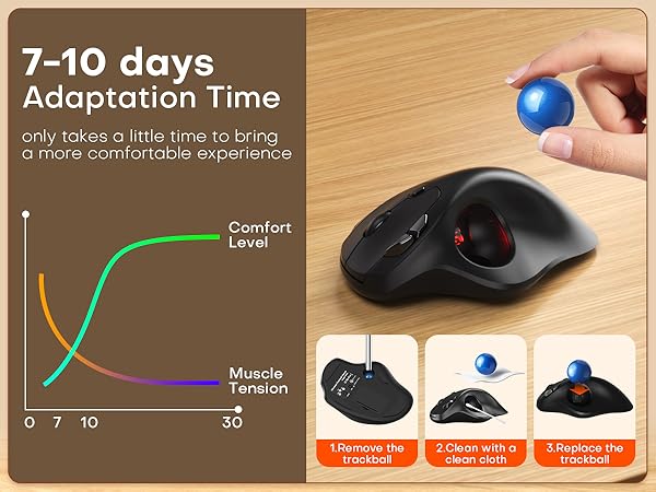 7-10 Days Adaptation Time