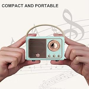 portable wireless speaker 