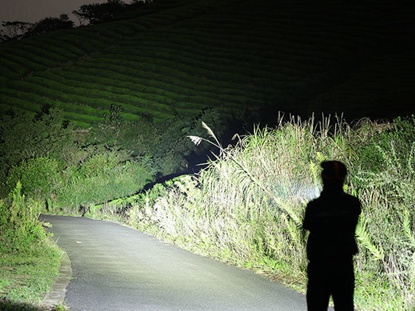 walking flashlight for night walking