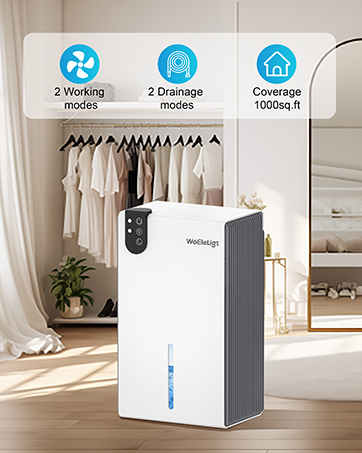dehumidifier for closet