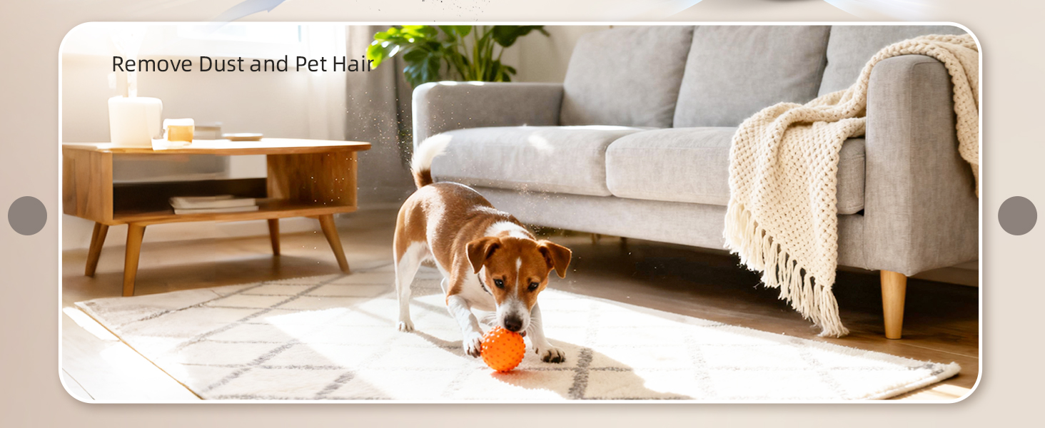 Remove Dust and Pet Hair