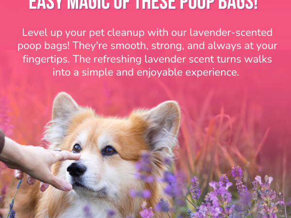 Pet N Pet Dog Poop Bags Rolls, 960 &amp;amp; 288 Count Dog Waste Bags, Lavender Scented
