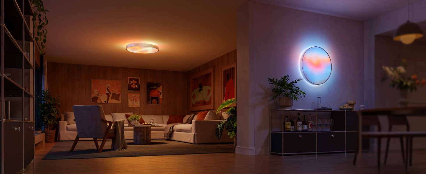 govee ceiling light