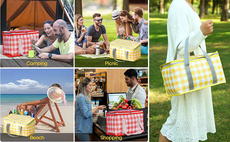 Insulated Food Delivery Bag