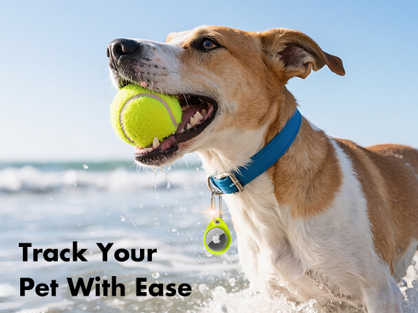 apple air tag. holder keychain