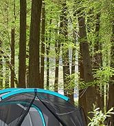 TIMBER RIDGE 8 Person Family Camping Tent with Screen Room, Double Layer Waterproof Weather Resis...